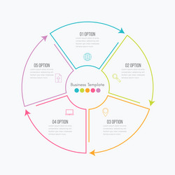 Line step infographic 5 options workflow diagram Vector Image