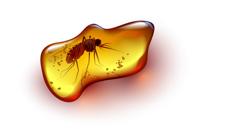 amber with insect mosquito inside fossil ancient vector image