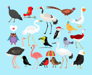 Birds collection isolated on white background Vector Image