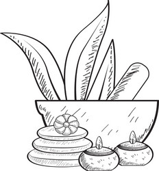 sketch spa objects vector image