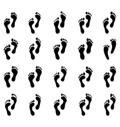 Footprints - Black Print Collection Vector Image