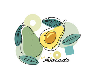 fresh avocado on color abstract background vector