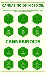 cannabinoids in cbd oil with structural formulas vector image