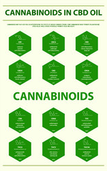 cannabinoids in cbd oil with structural formulas vector