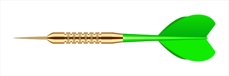 dart arrow with metal tip and shadow vector image