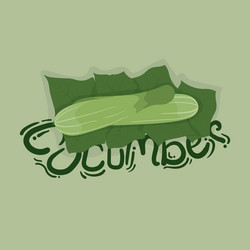 cucumber with leaf and text vector image