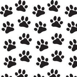 Paw Print Pattern - Zoo Style vector image