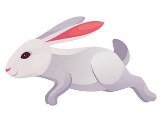 rabbit animation icon bunny jump or running vector