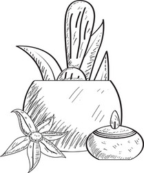 sketch spa objects vector image