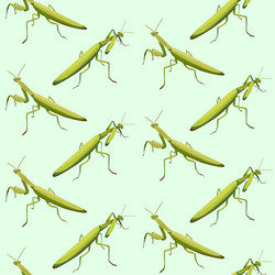 seamless pattern made of two fighting mantis vector image