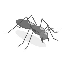 3d isometric flat set of insects item 5 vector image