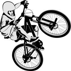 Downhill mountain bike Royalty Free Vector Image