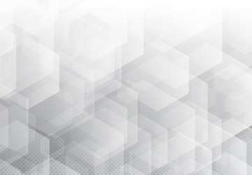 abstract design white hexagonal pattern vector image