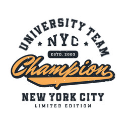 Brooklyn T-Shirt Print - College Style Vector Image