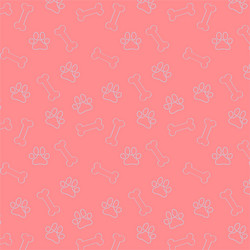 zoo pattern for designed print vector image