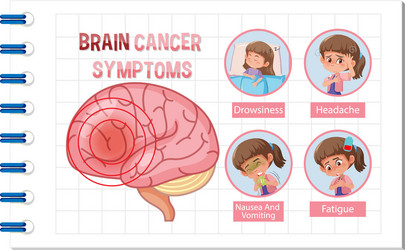Information poster human brain diagram Royalty Free Vector