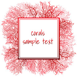 Texture of red coral and frame for text vector