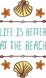 hand-sketched typographic element with shell vector image