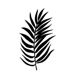 branch black Vector Image