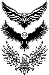 Eagle Logo Set Vector Image