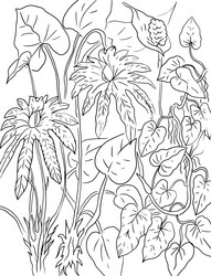 tropical leaves coloring pages hand drawn Vector Image