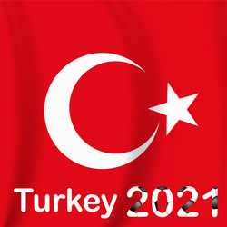 football game background turkey with flag vector image