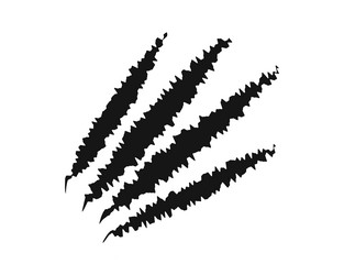 scratch claw marks bear wolf toger or panther Vector Image