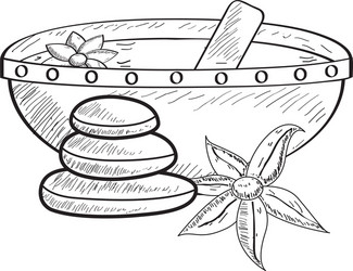sketch spa objects vector image
