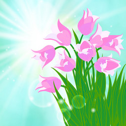 Spring card background with sun and tulips vector