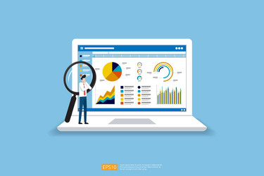 Business Analytics Web Charts vector image