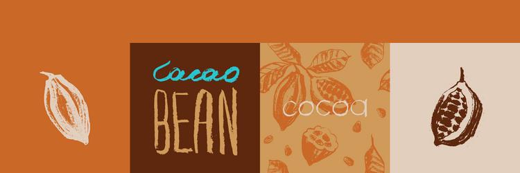 cocoa beans pattern with cacao symbols vector image
