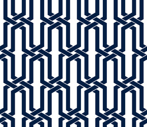 stripy mesh weaving cubes seamless pattern 3d vector image
