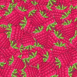 Raspberry Seamless Pattern vector image