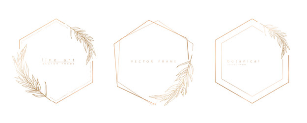 set of hexagon frame templates in minimal linear vector image