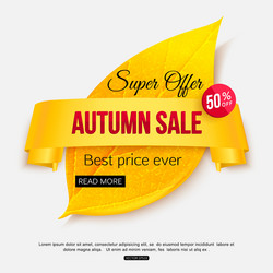 Autumn sale banner isolated on white background vector