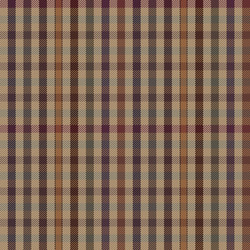 ednam estate check plaid vector