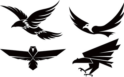 eagle bird logo Vector Image