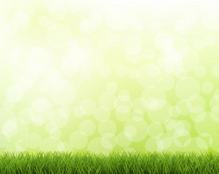 Green grass border with bokeh vector