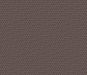 seamless abstract pattern with hexagonal vector image