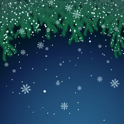 Winter background with spruce branch and snowflake vector