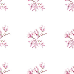 Seamless pattern with magnolia vector