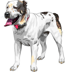 central asian shepherd dog vector