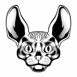 Skinny Cat Vector Images (49)