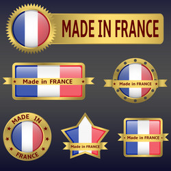 Made in france vector