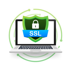 secure connection icon vector image