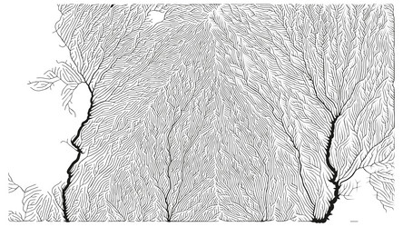 growth pattern generative branching structure vector image