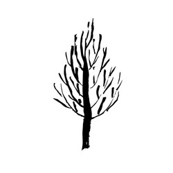 Naked Vector Images (over 13,000)