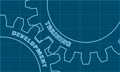 training and development text on gears vector image