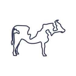Cow farm icon template cattle symbol Royalty Free Vector