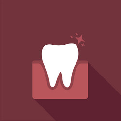 tooth in gums vector